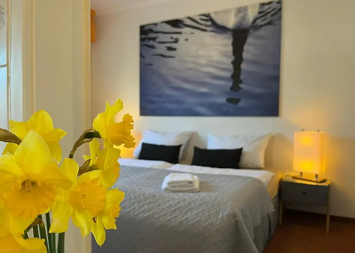 Appartamento 200qm Grosses Zwischen Goitzsche & Woerlitzer Park *